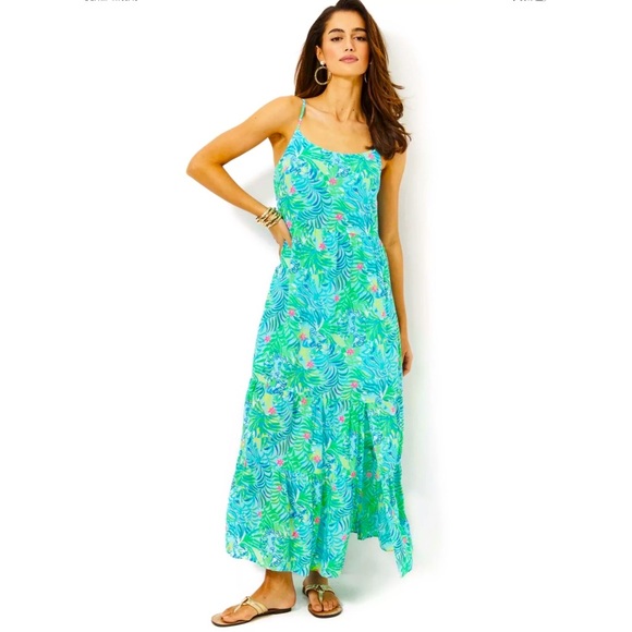 Lilly Pulitzer Dresses & Skirts - Lilly Pulitzer NWT Teresa Maxi Dress Via Parigi Size L,XL